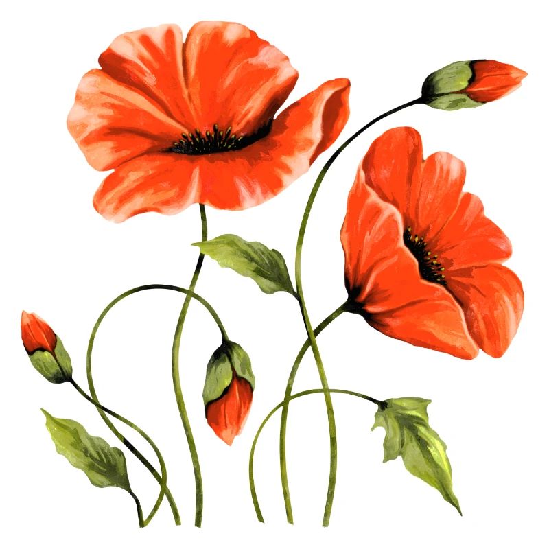 Blumen