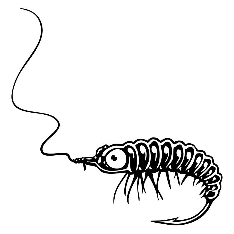 NYMPHE