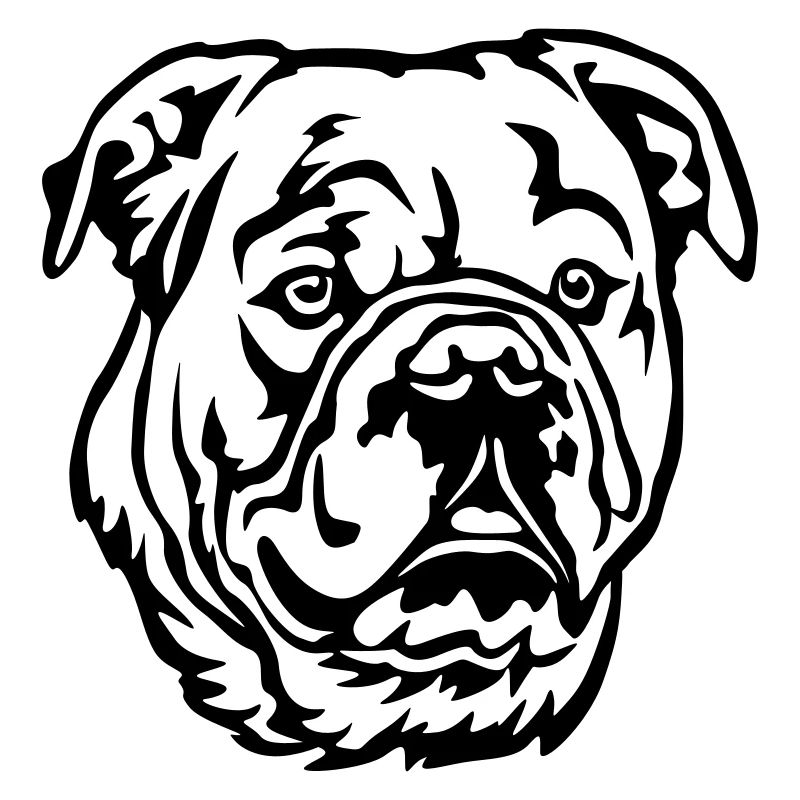 Tête de bouledogue continental