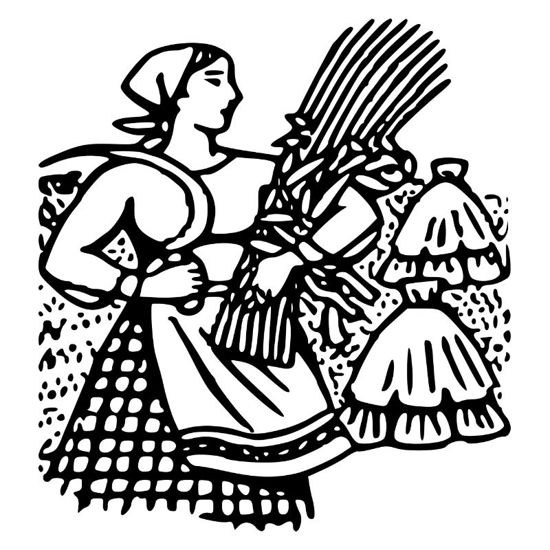 corn corn maize cereal veggie vegetables vegetables