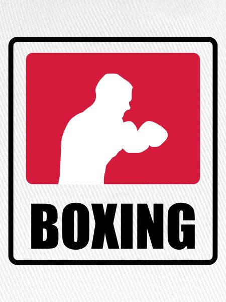 Boxer - Boxing 🥊