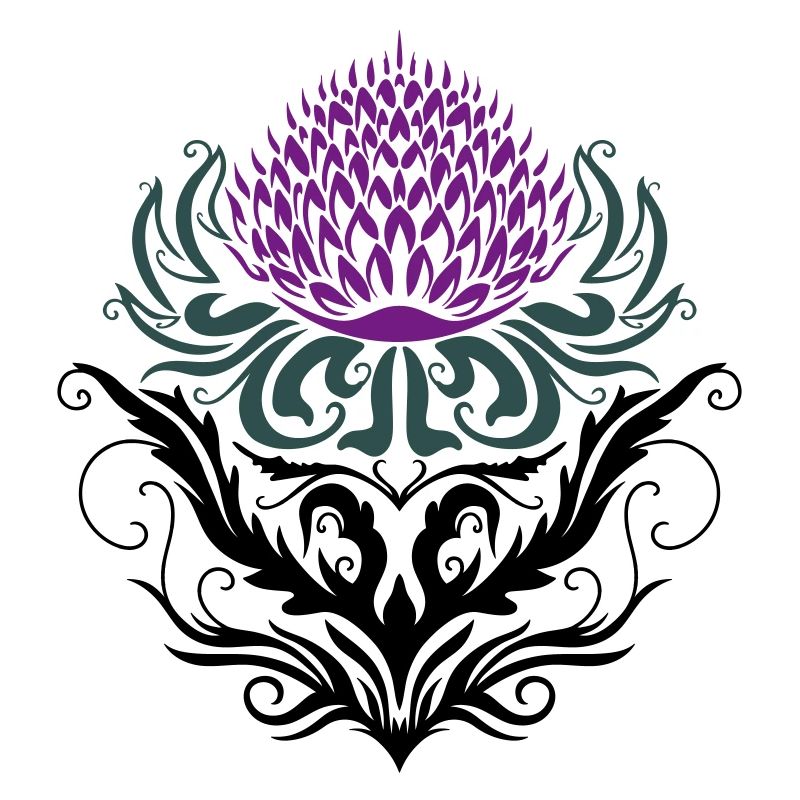 Chardon pourpre Chardon