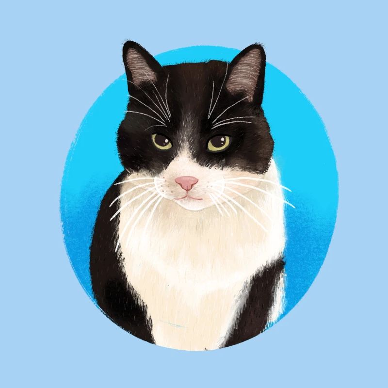 Noir Blanc Chat
