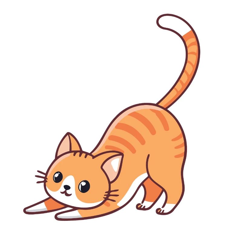Orange kitten stretching