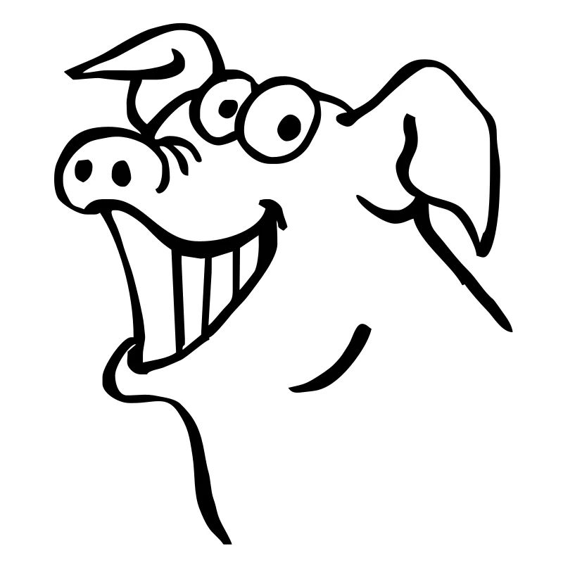 Schwein lacht