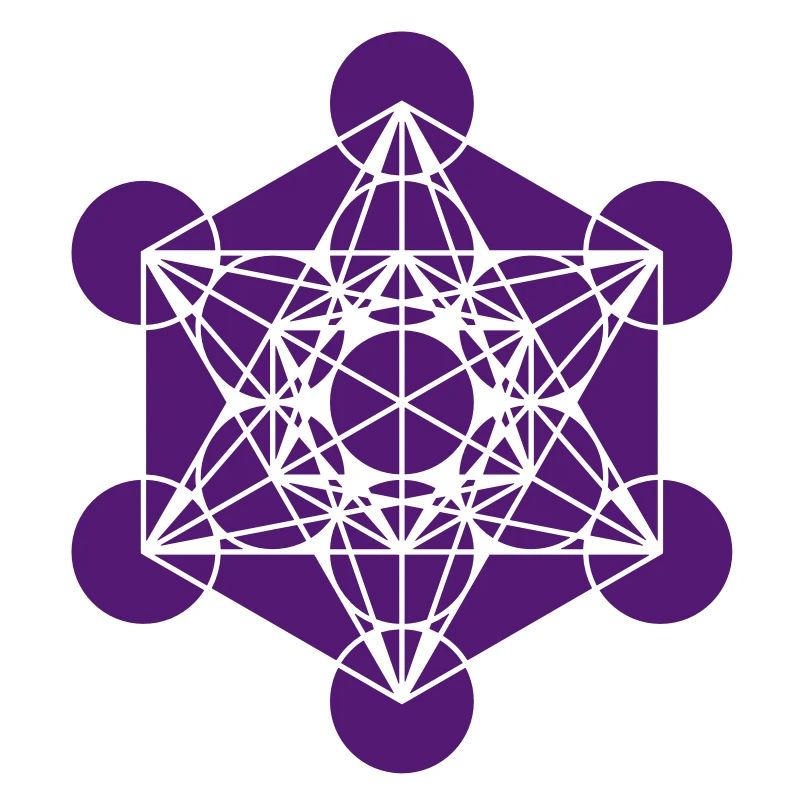 Metatrons Cube - Vector - Platonic Solids /