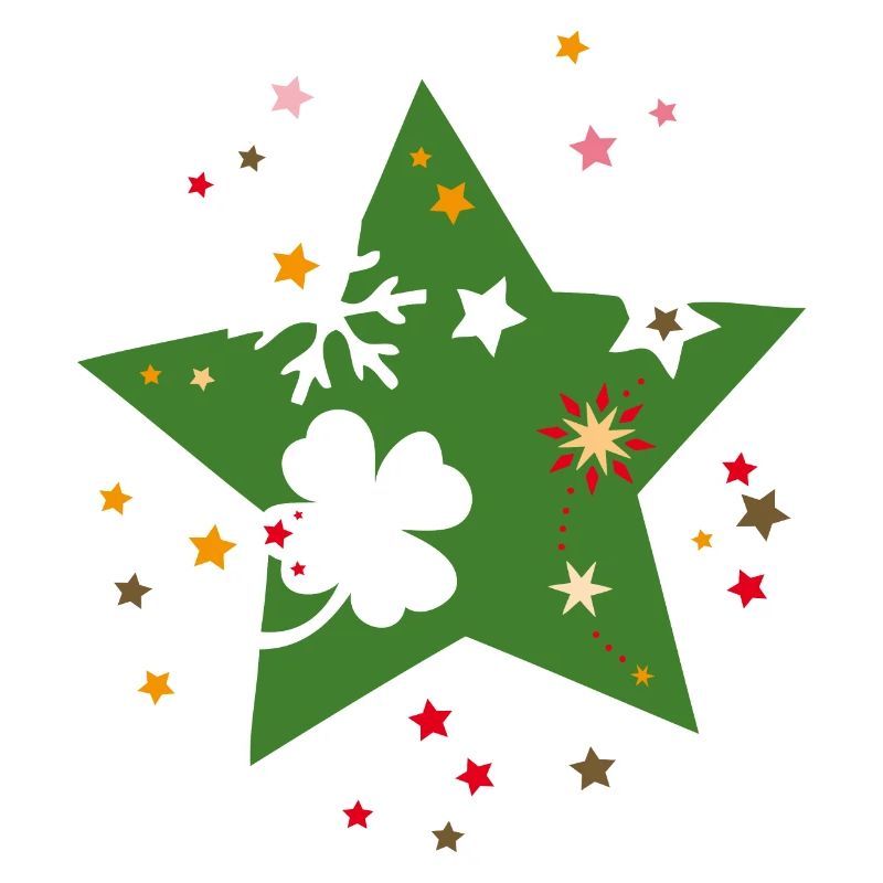 Weihnachtsstern