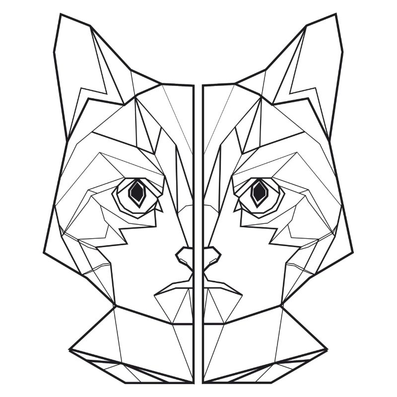 ami de chat, amant de chat, chemise de chat