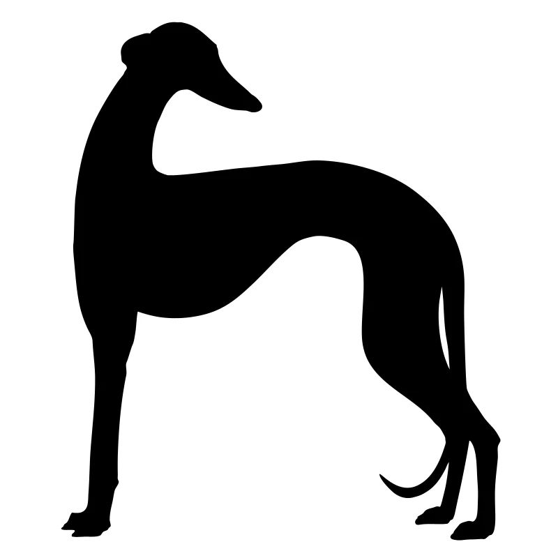 galgo shape2