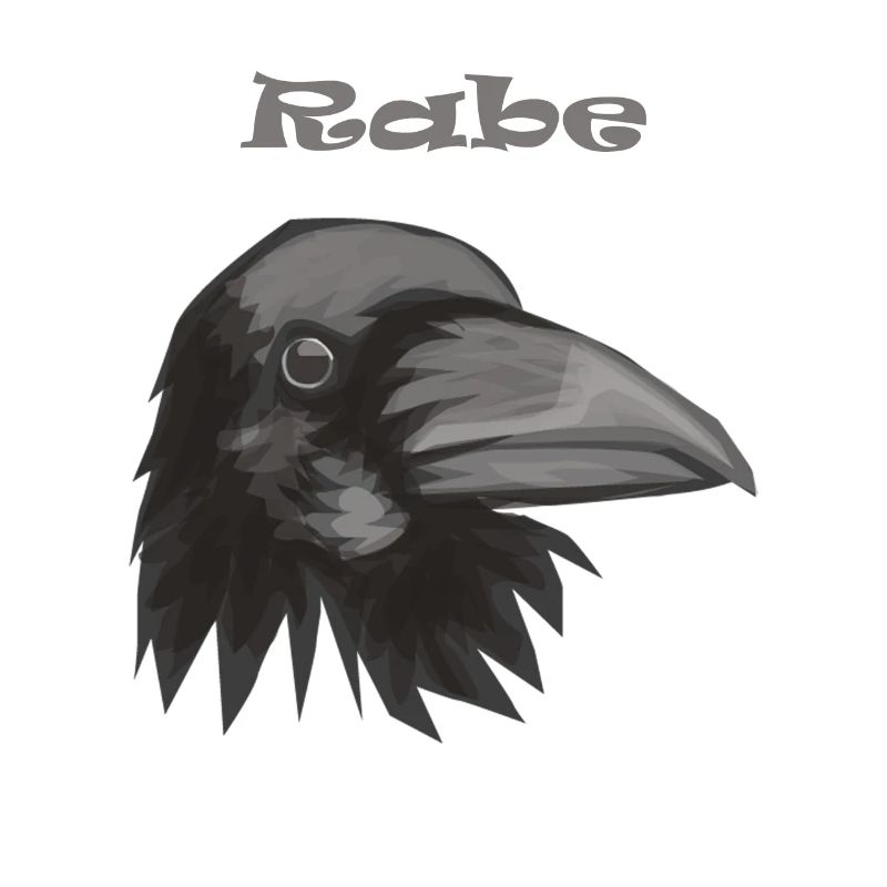 Rabe