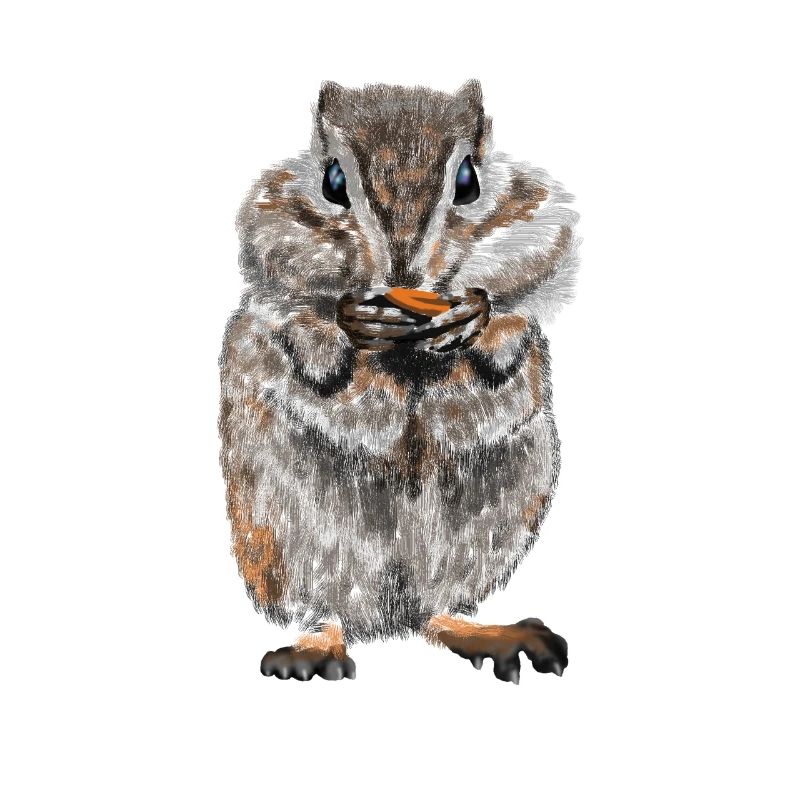 Hamster