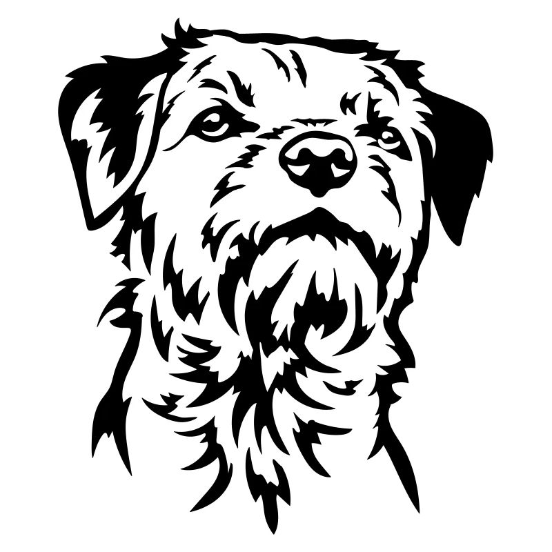 Tête de Border Terrier