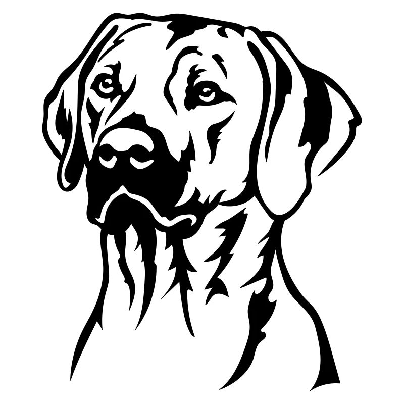 Rhodesian Ridgeback Kopf