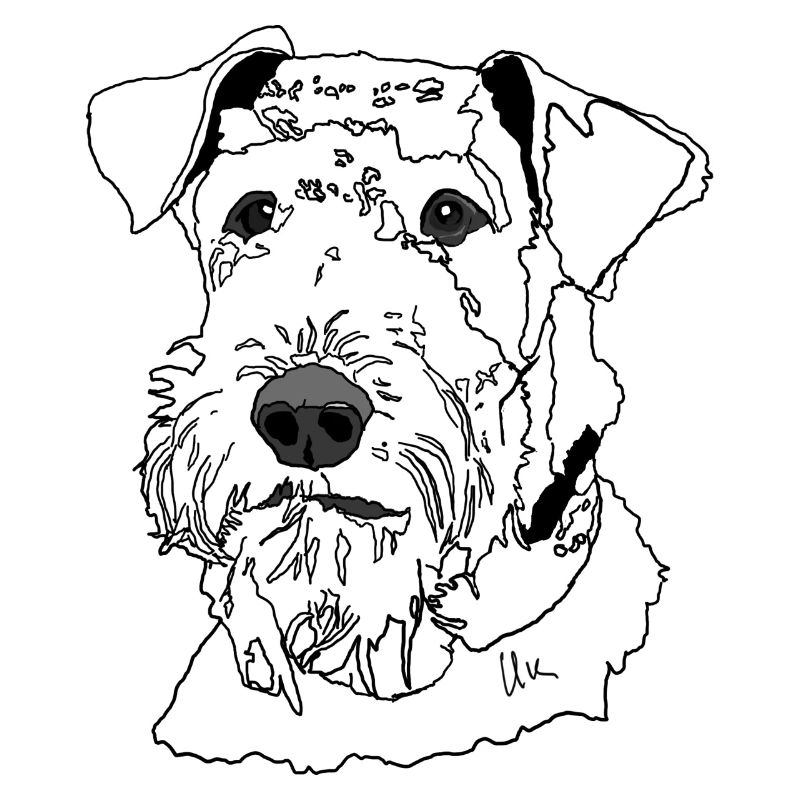 Airedale Terrier