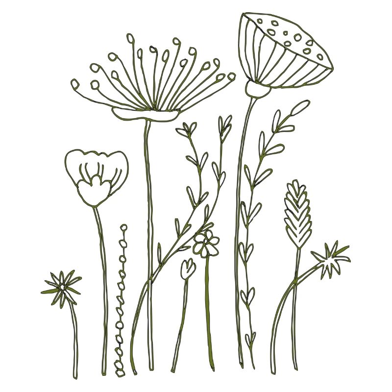 Fleurs séchées