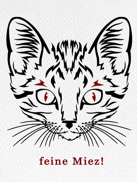 Katze, feine Miez