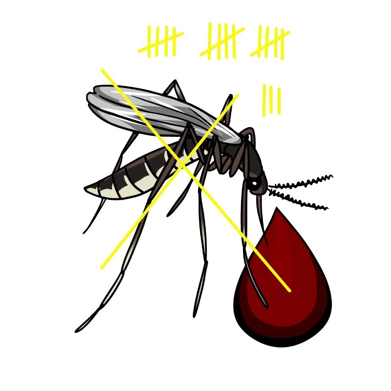 Moustiques chasse moustiques insectes suceurs de sang sang