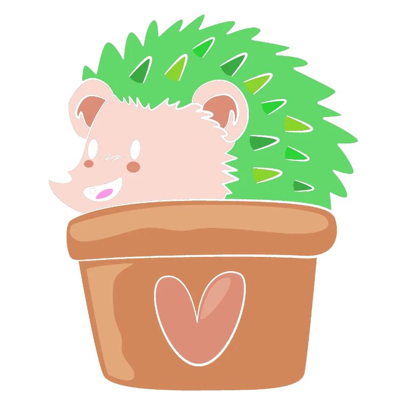 Plante Cactus Cactus