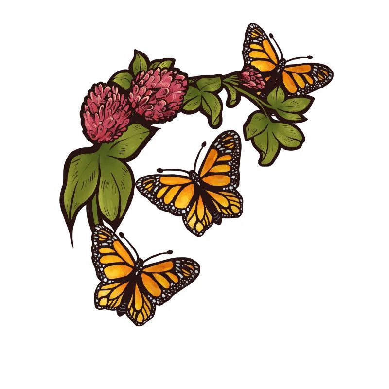 Monarch Bloom Garden