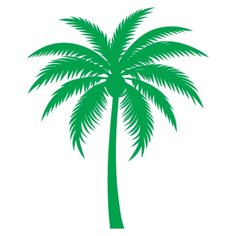 Palme