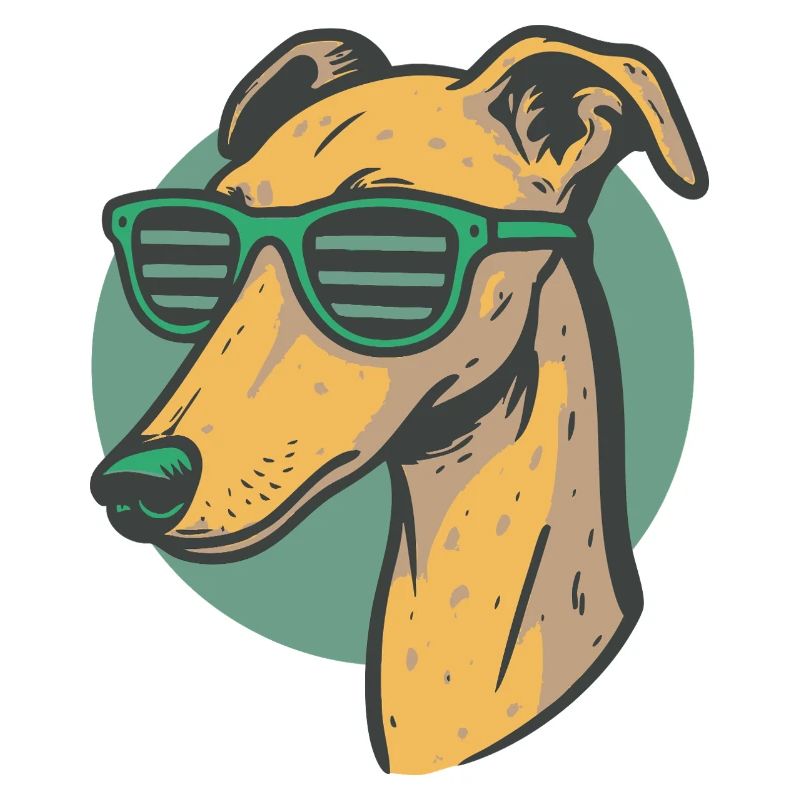Lévrier, Galgo