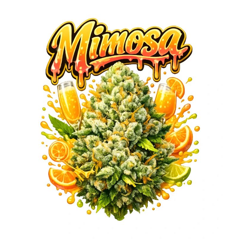 Mimosa-Graffiti-Druck