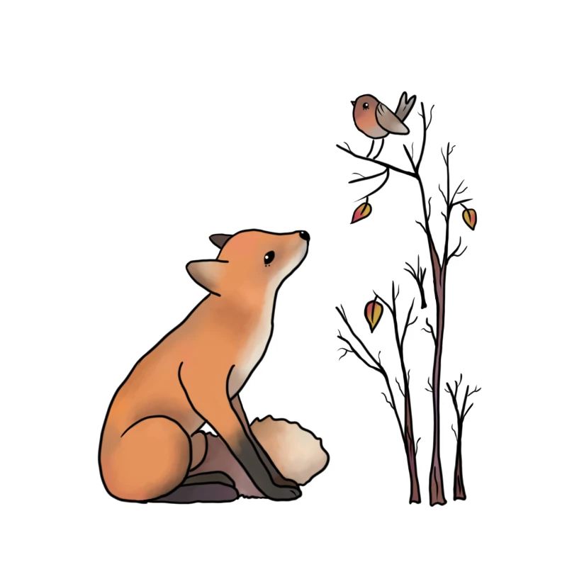 Fuchs und Rotkehlchen