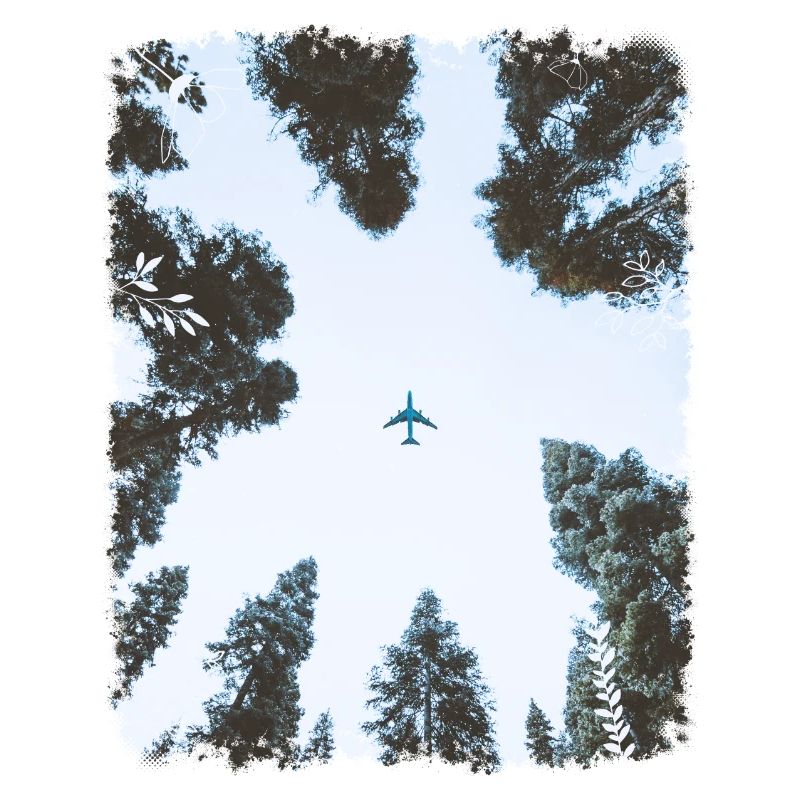 Wald & Flugzeug
