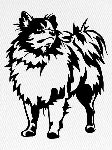 Spitz