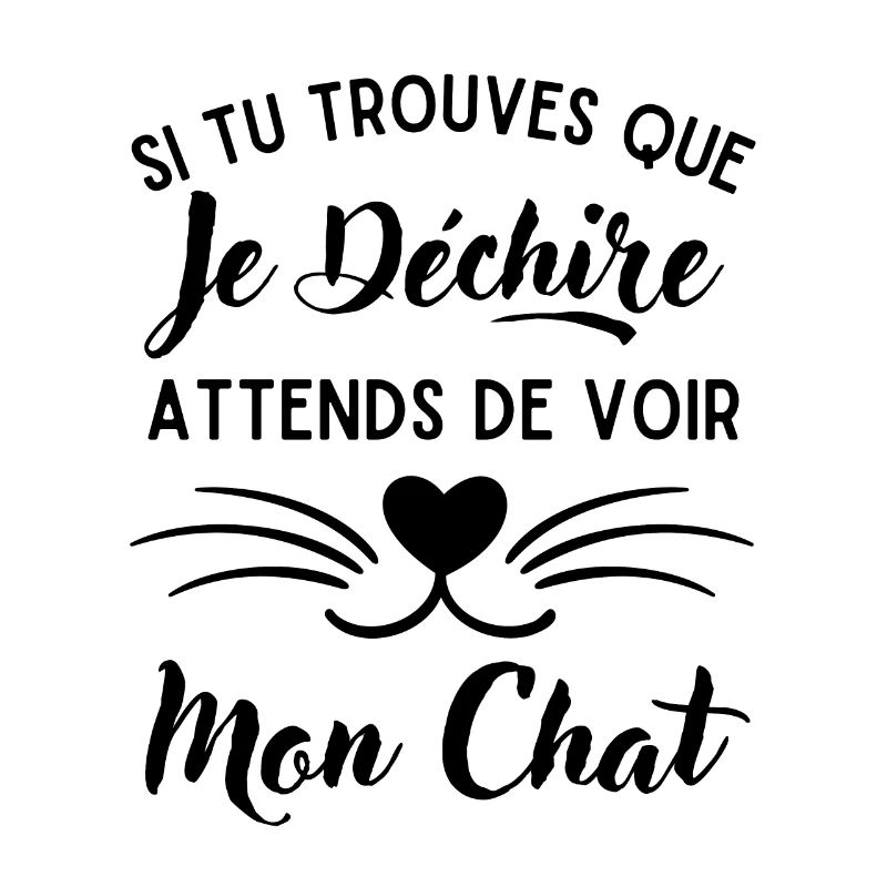 Mon Chat qui déchire 2