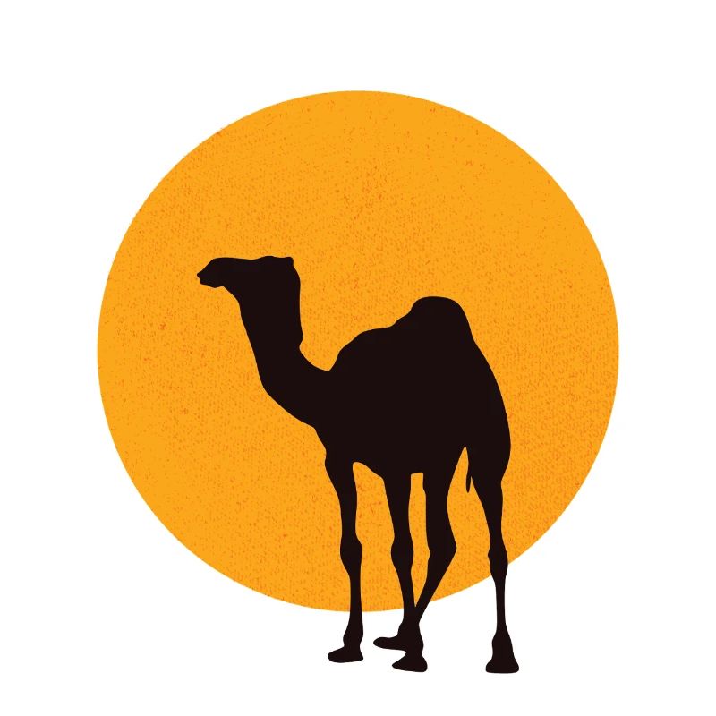 Dromedar Kamel Silhouette