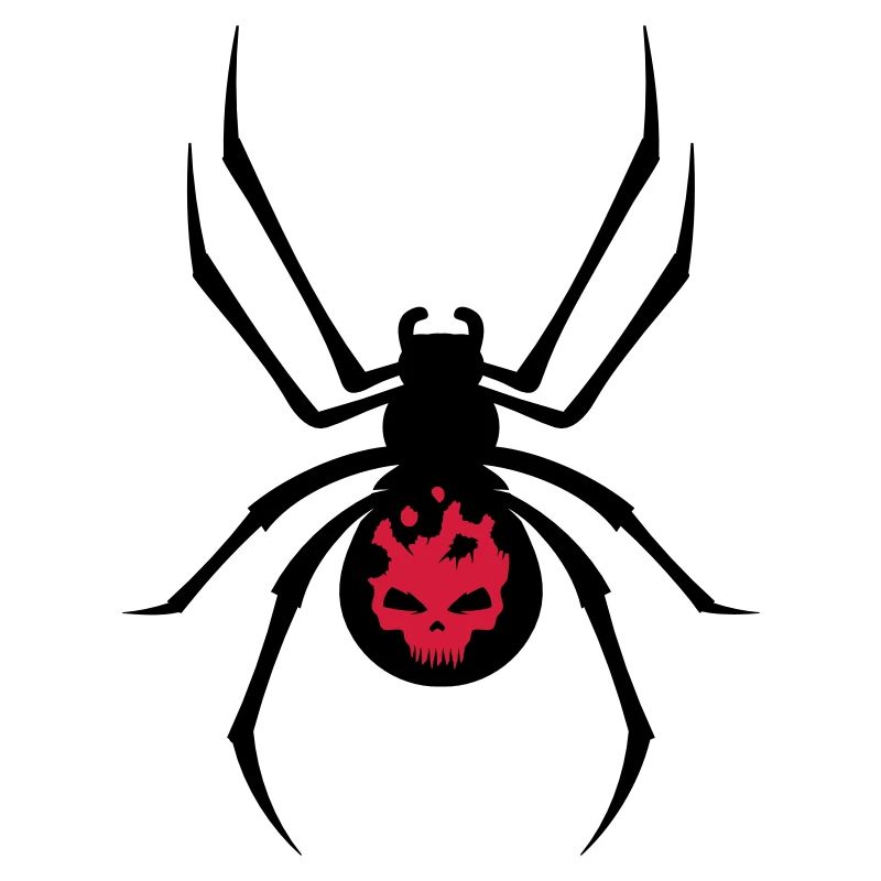 A black spider with red skull