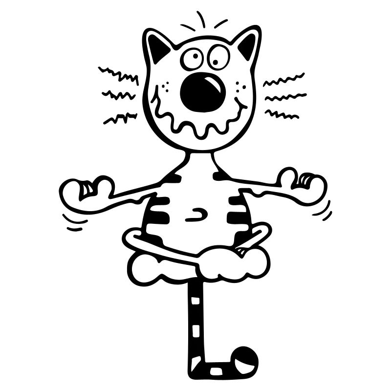Fitness Katze