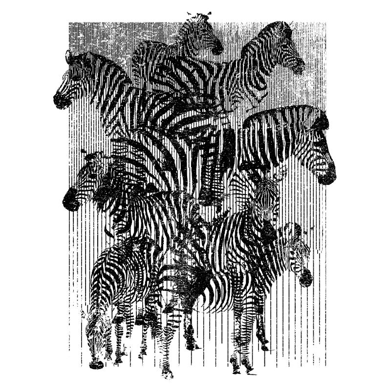 Zebra (Stripes)