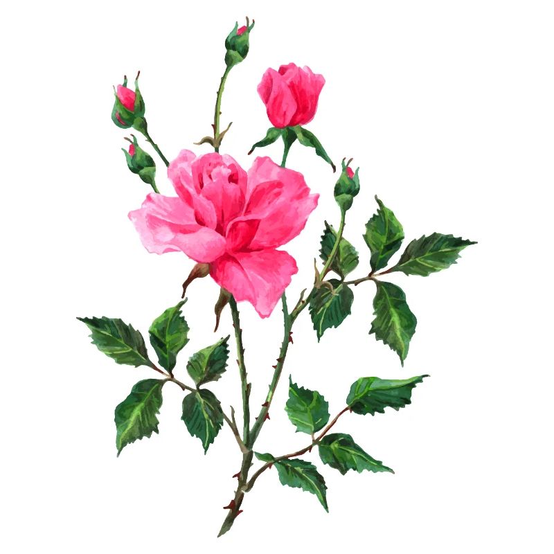 Blumen