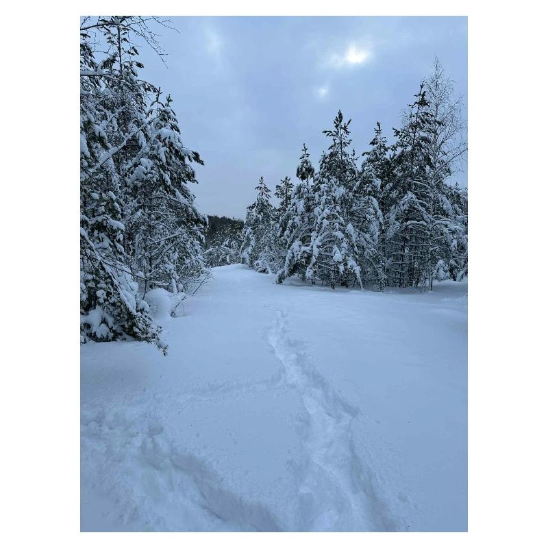 Winterwanderwege im Schneewald
