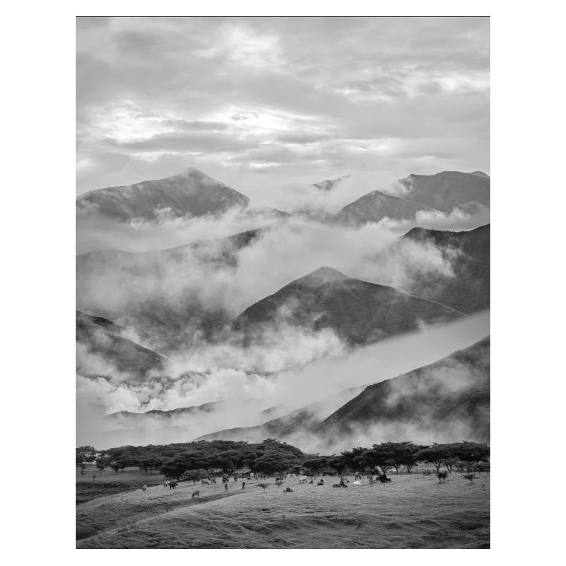 Montagnes dans un brouillard noir et blanc
