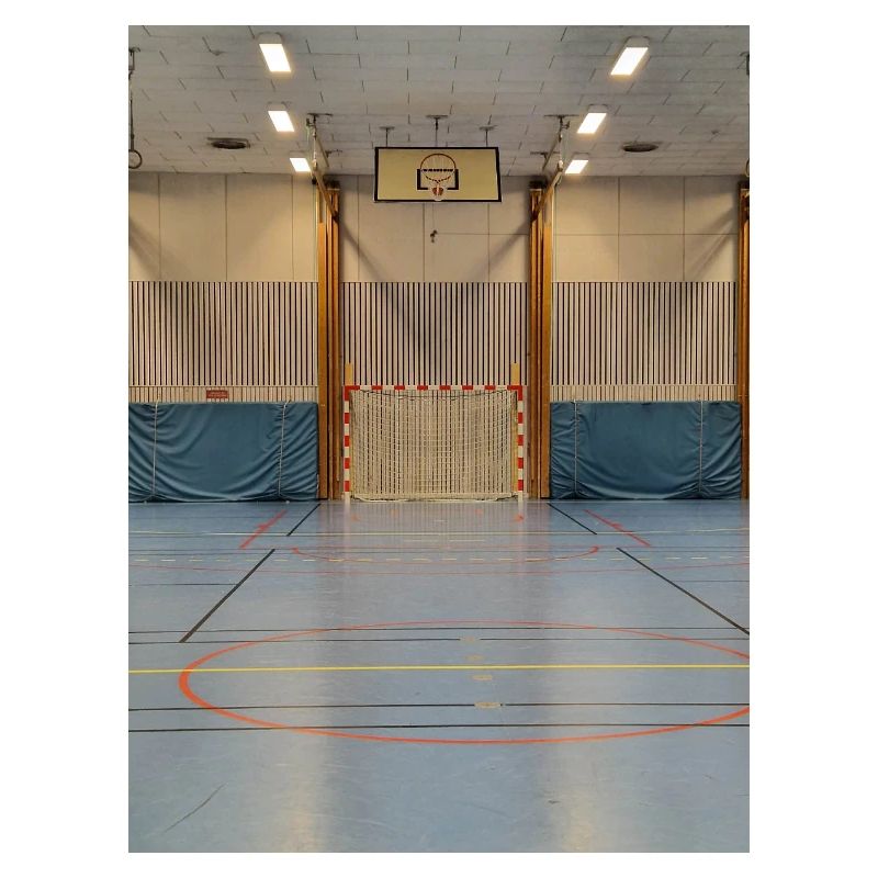 Les lignées de Gymhallen