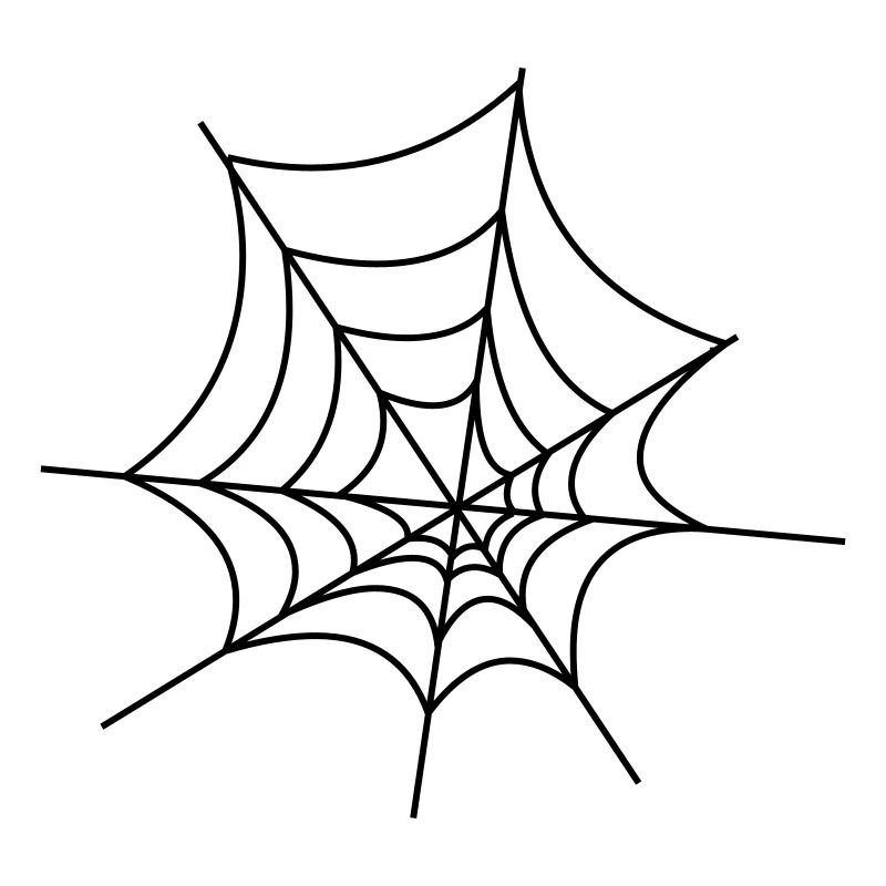 Spinnennetz