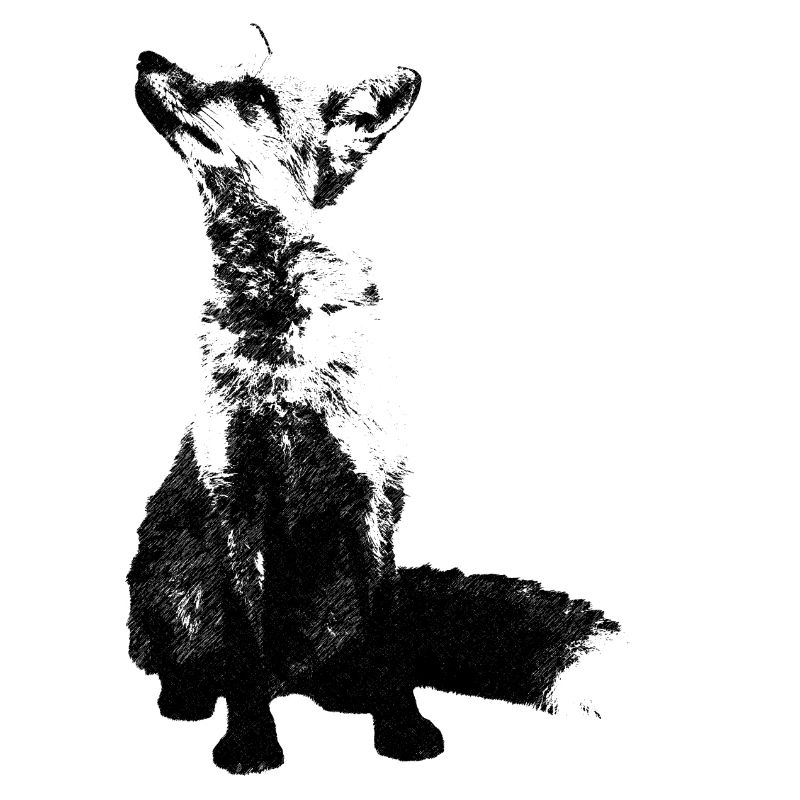fuchs