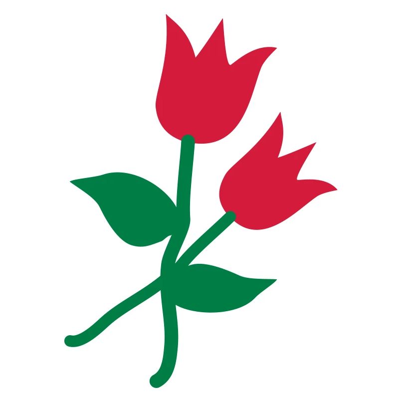 Tulpen