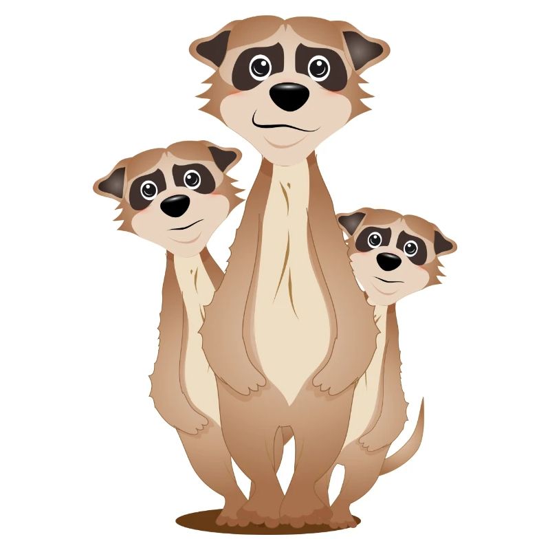 funny meerkat group with cuddly factor