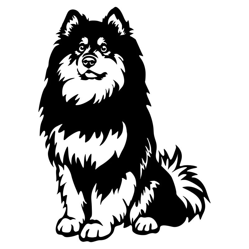 Finnischer Lapphund