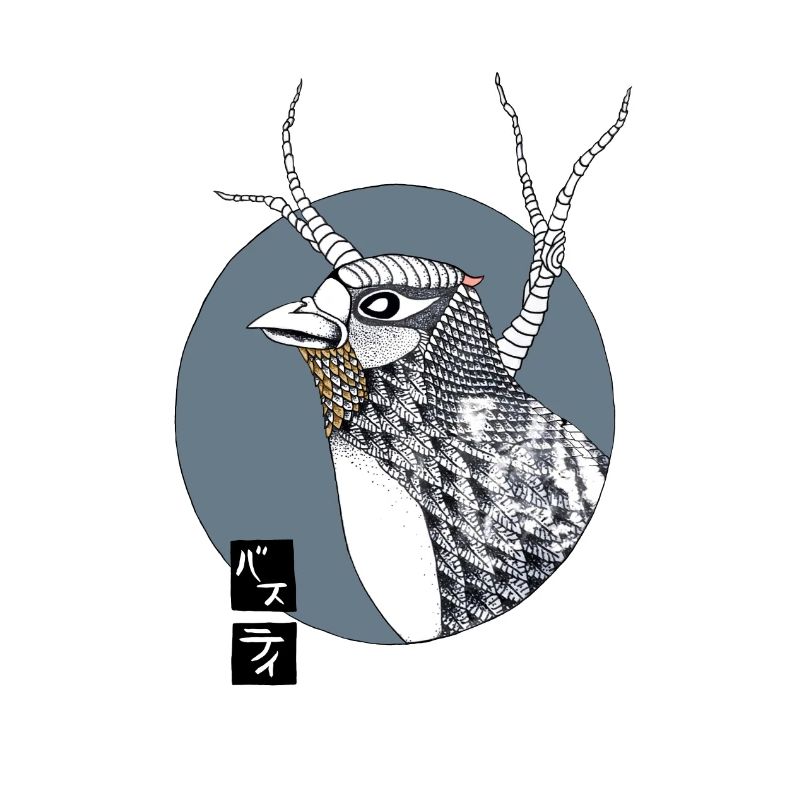 Bird