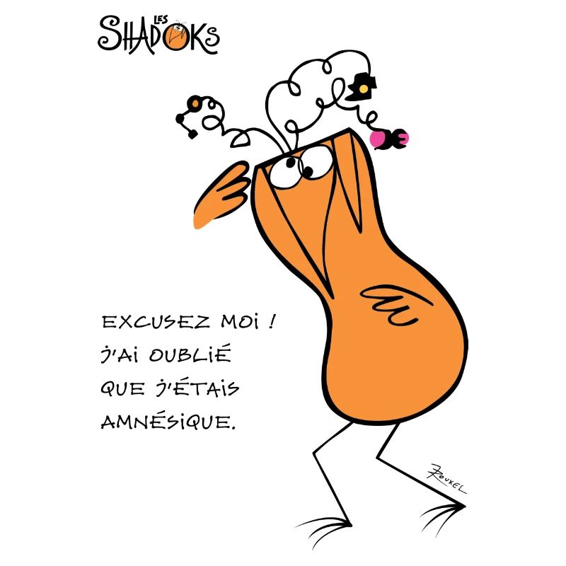 Amnesia Shadok