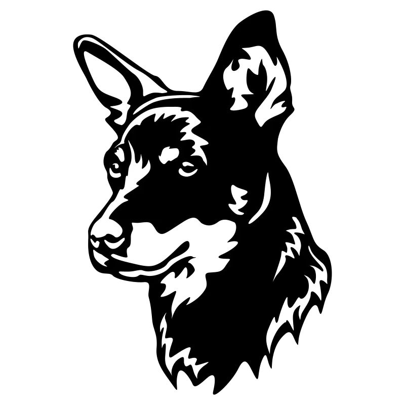 Lancashire Heeler Kopf