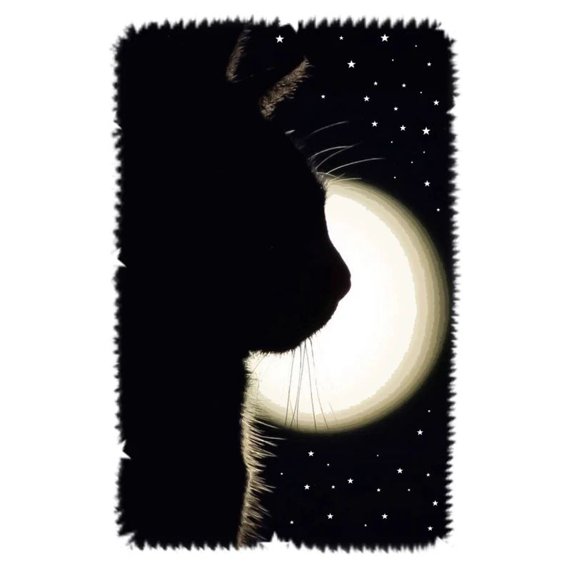 Chat de lune