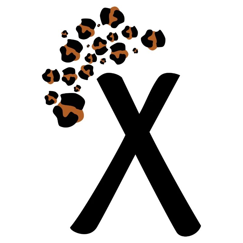 Buchstabe x Leopardenmuster