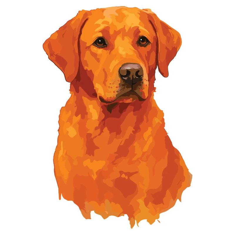 Watercolor Fox red Labrador PopArt
