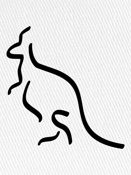 kangaroo